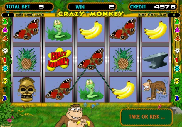 игровой автомат обезьянки специальные символы